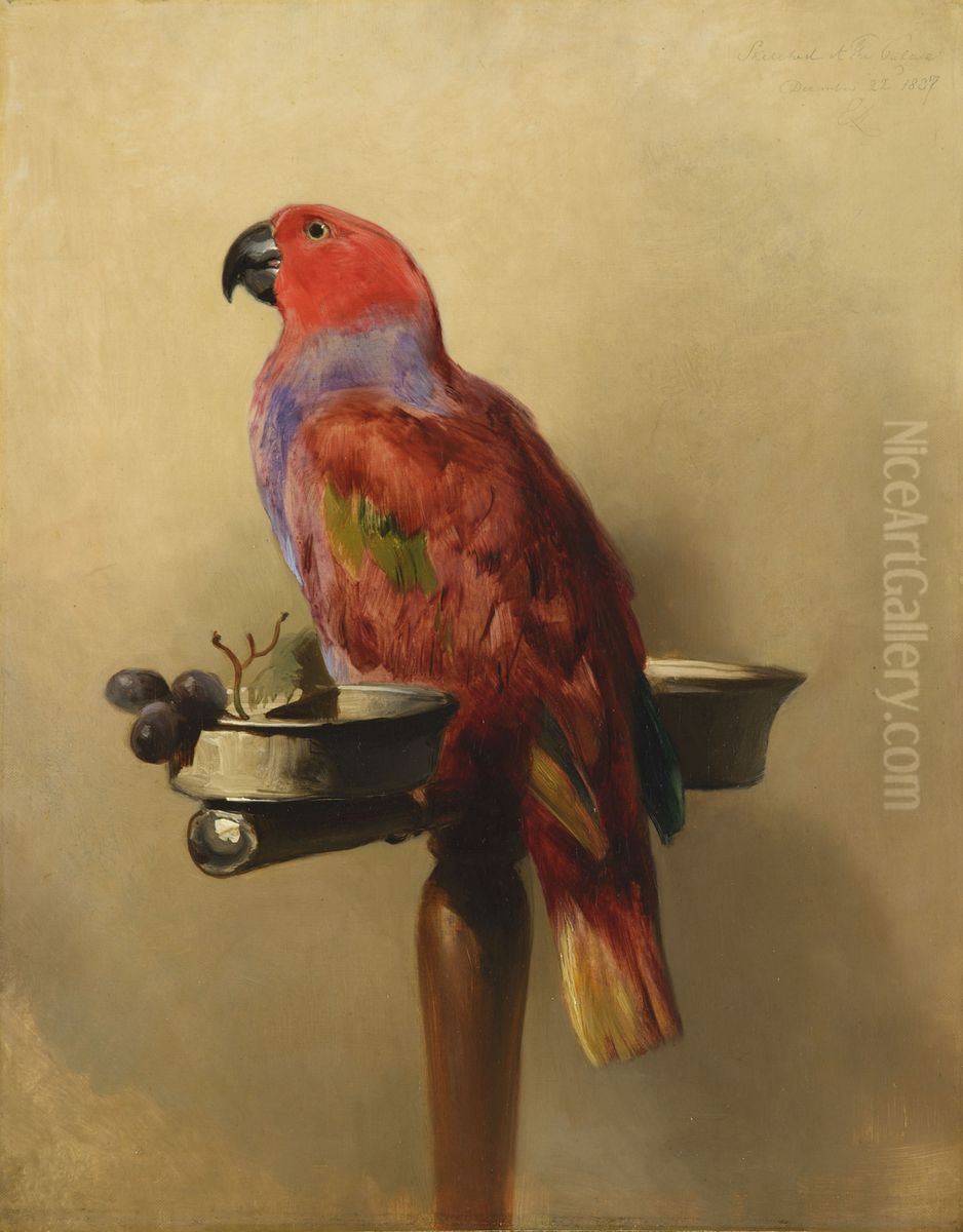 The Lory Oil Painting by Sir Edwin Henry Landseer
