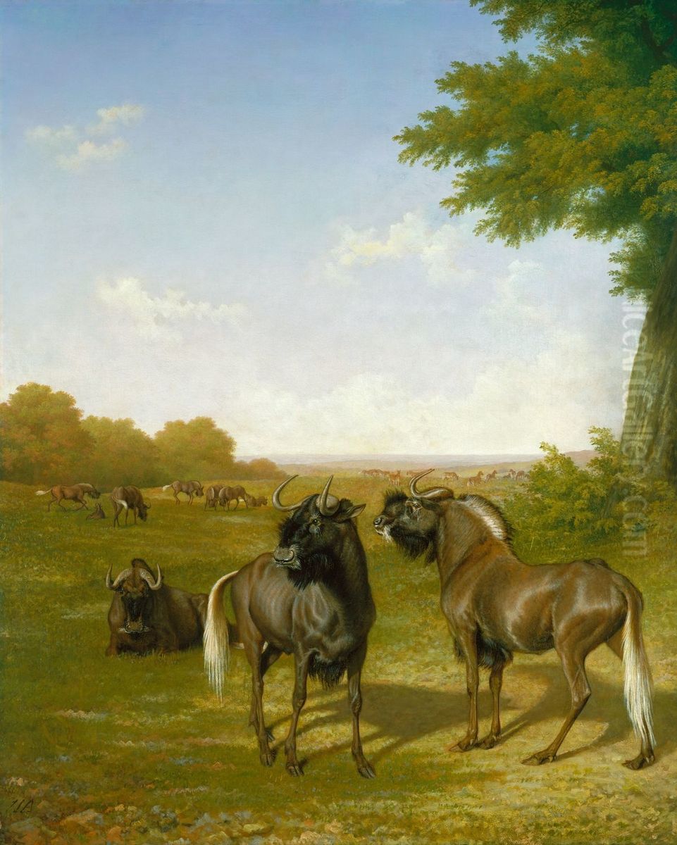 White-tailed gnus Oil Painting by Jacques-Laurent Agasse