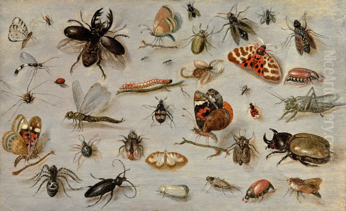 A Study of Butterflies, Moths, Spiders, and Insects Oil Painting by Jan van Kessel the Elder