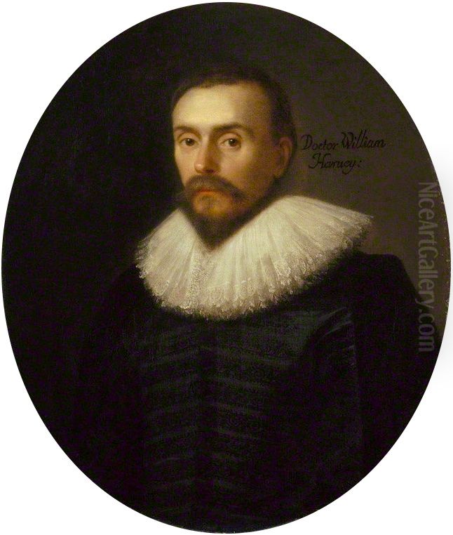 William Harvey Oil Painting by Daniel Mijtens