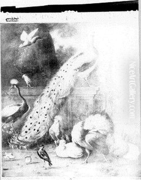 Hoenders in een park Oil Painting by Melchior D'Hondecoeter