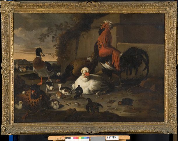 Pluimvee Oil Painting by Melchior D'Hondecoeter