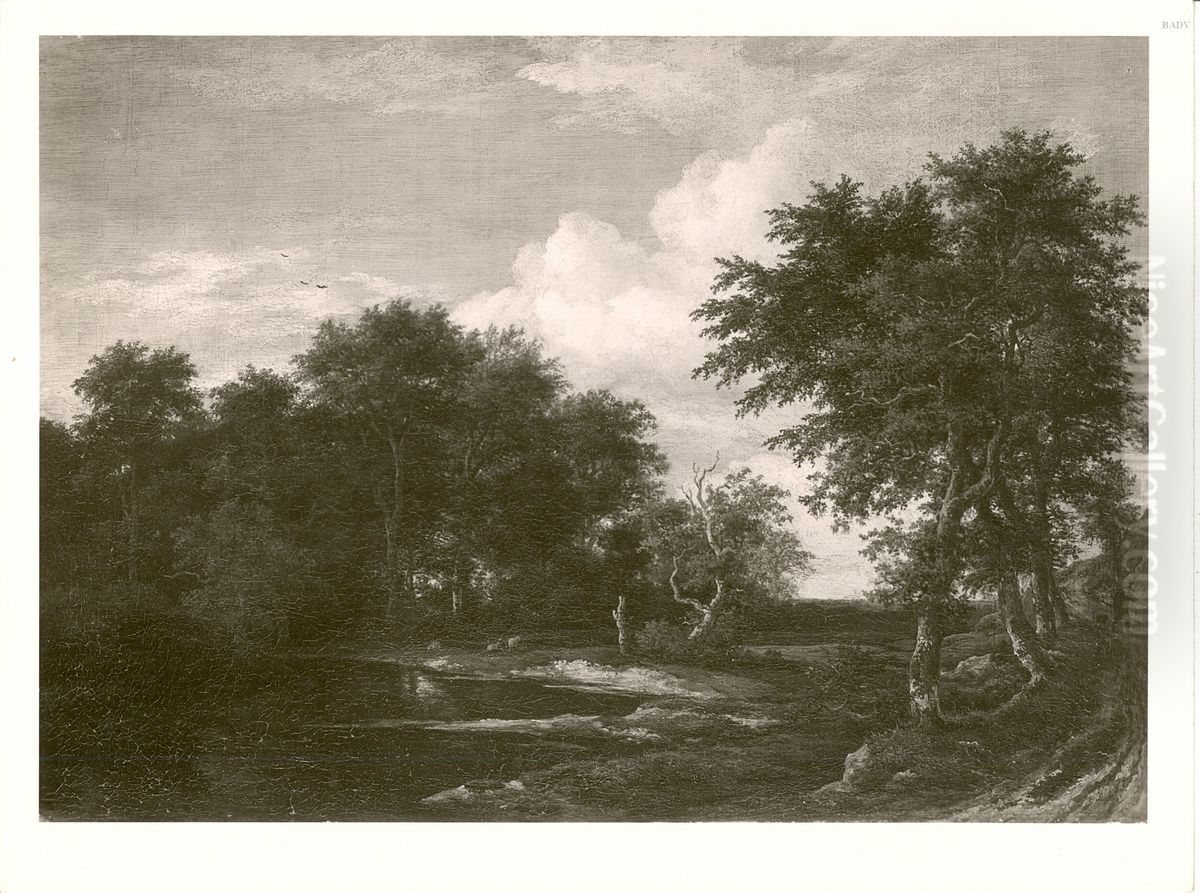 Boslandschap met vijver Oil Painting by Jacob Van Ruisdael