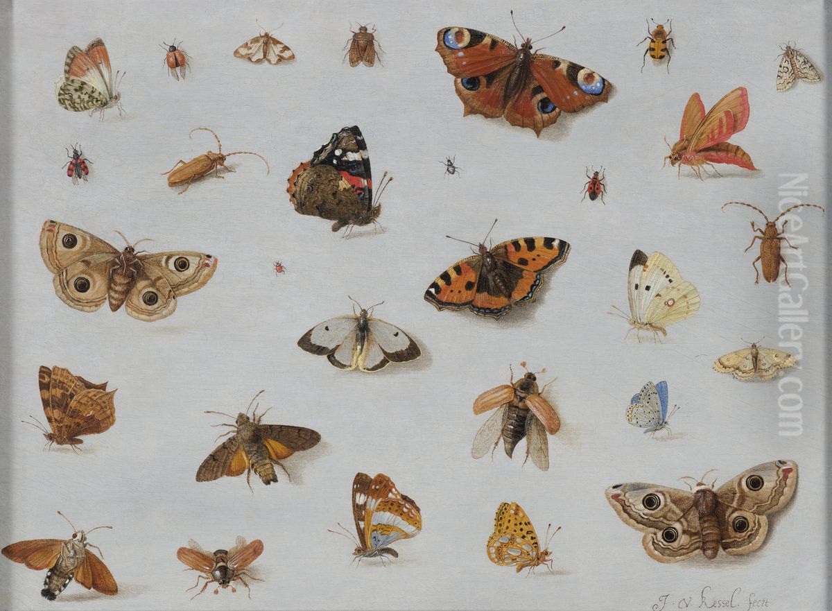 Butterflies and Insects Oil Painting by Jan van Kessel the Elder