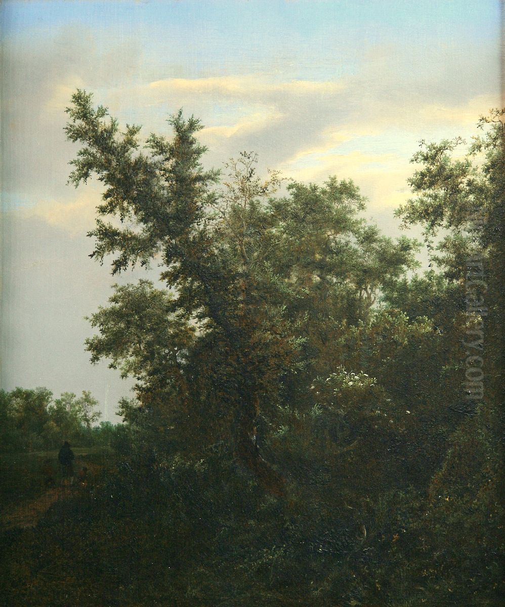 View of a Forest Oil Painting by Jacob Van Ruisdael