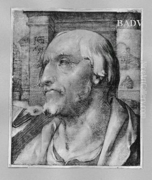 Mannlicher Kopf Oil Painting by Goltzius Hendrick