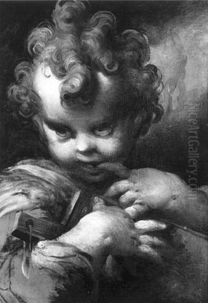St. John as a child Oil Painting by Parmigianino