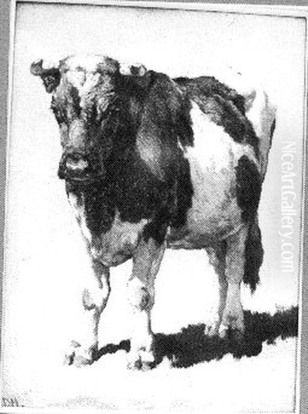 Studie van een stier Oil Painting by Johannes-Hubertus-Leonardus de Haas