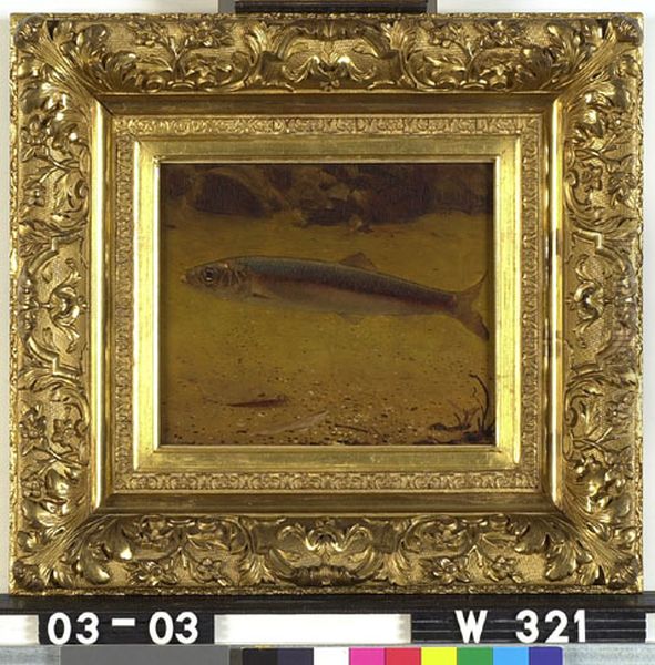 Haring in aquarium Oil Painting by Gerrit Willem Dijsselhof