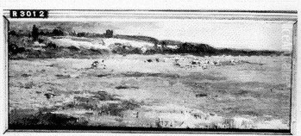 Weiland Oil Painting by Maria Bilders-van Bosse