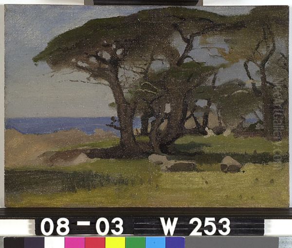 Zeedennen, Monterey Californie Oil Painting by Willem Witsen