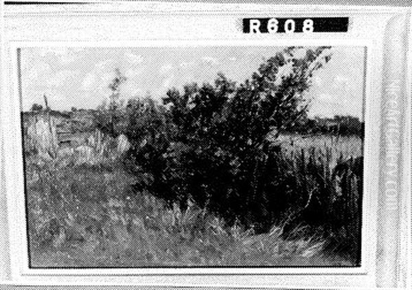 Weide met struiken en hek Oil Painting by Johannes-Hubertus-Leonardus de Haas