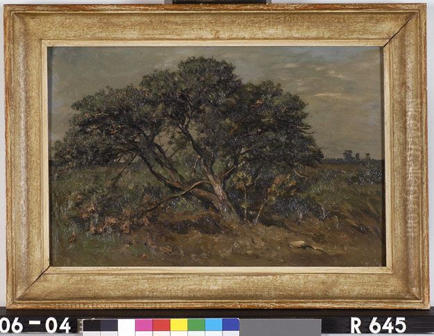 Een boom Oil Painting by Johannes-Hubertus-Leonardus de Haas