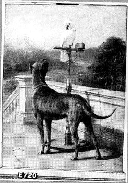 Hond met papegaai Oil Painting by Otto Erelman