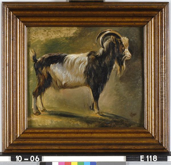 Een bok Oil Painting by Anton Mauve