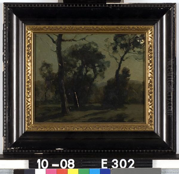 Park bij maanlicht Oil Painting by Francois Cachoud