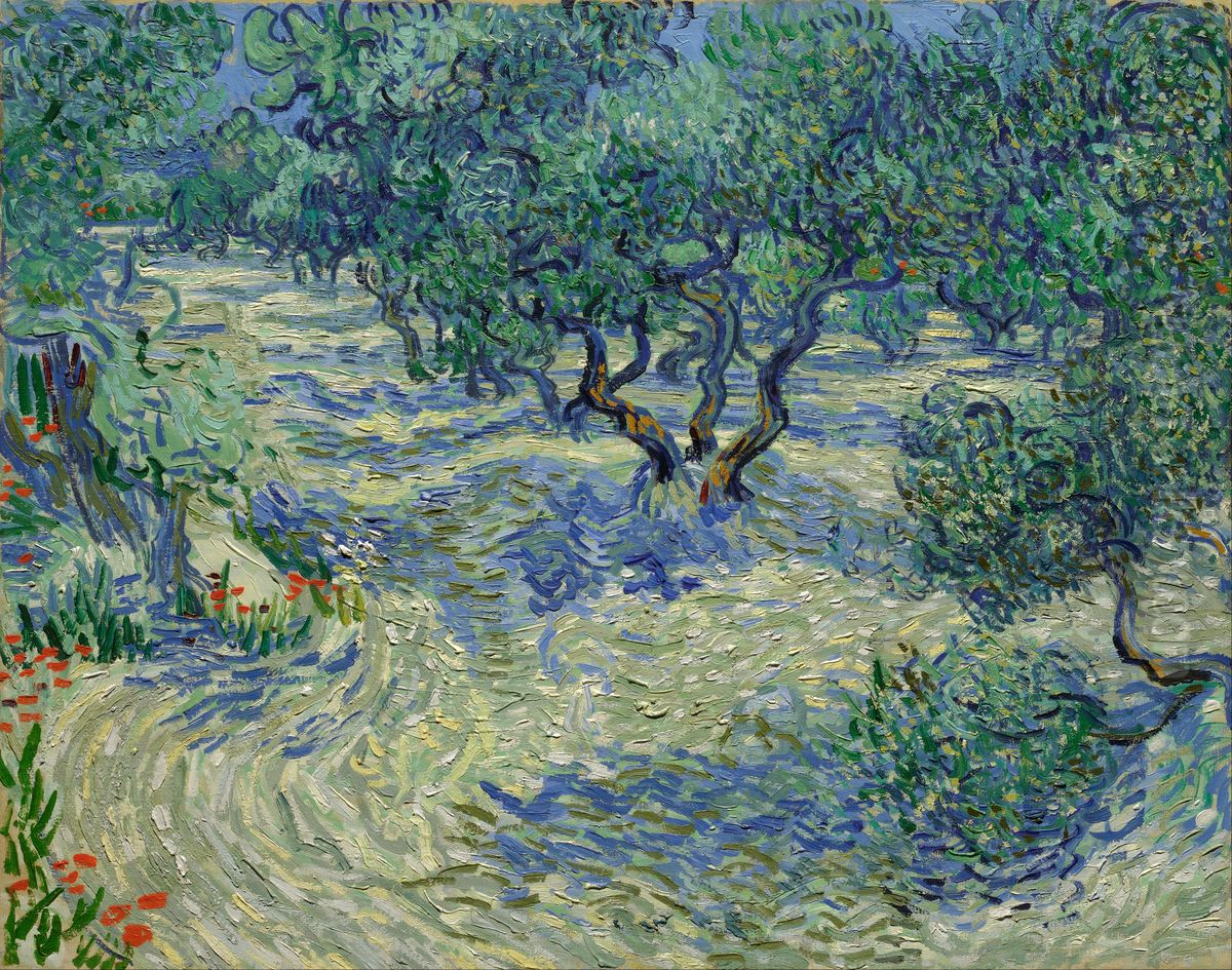 Olive Trees / Olive Grove Oil Painting by Vincent Van Gogh