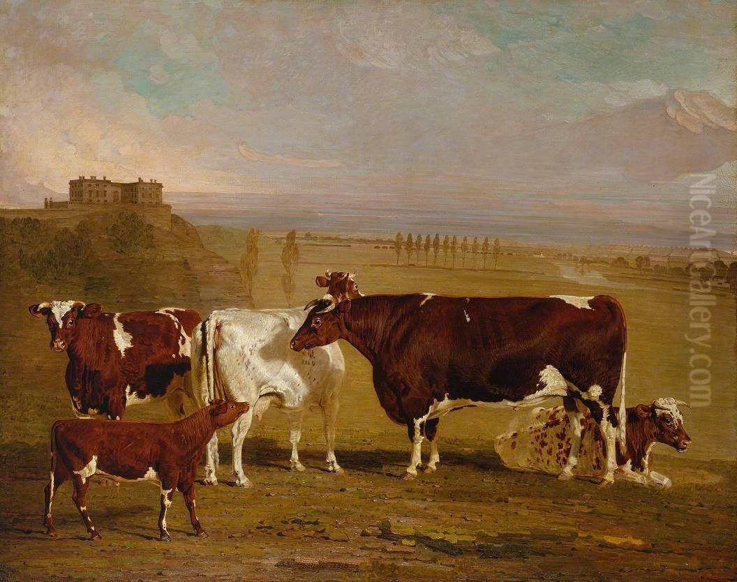Portraits of Cattle of the Improved Short-Horned Breed, the Property of J. Wilkinson Esq. of Lenton, near Nottingham Oil Painting by Benjamin Marshall