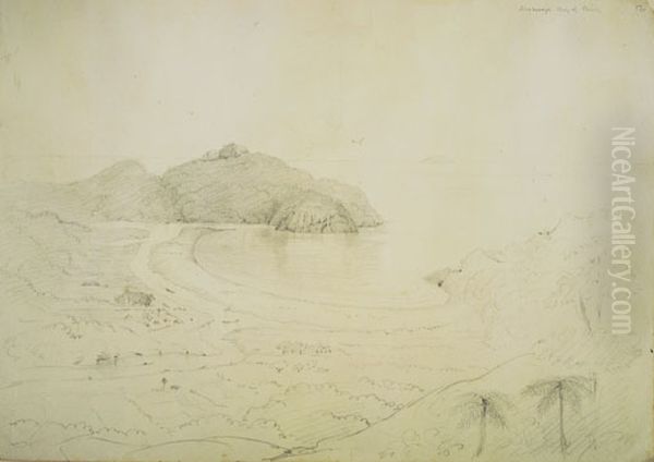 Arataonga Bay of Plenty Oil Painting by Charles Heaphy