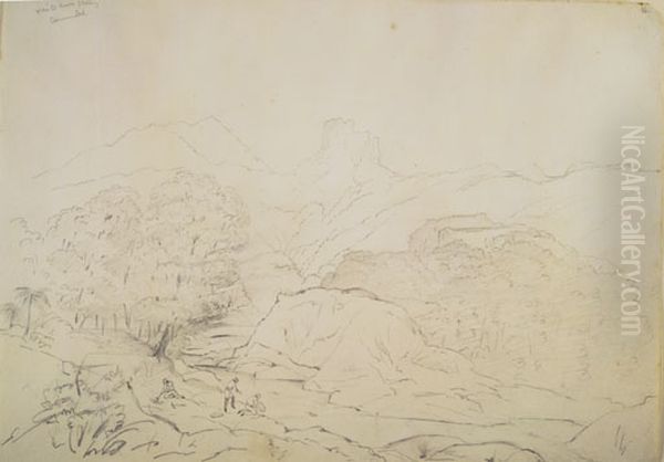 Waitekuri Valley Coromandel Oil Painting by Charles Heaphy
