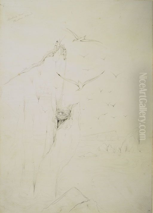 Albatross Nest, Chatham Island Oil Painting by Charles Heaphy