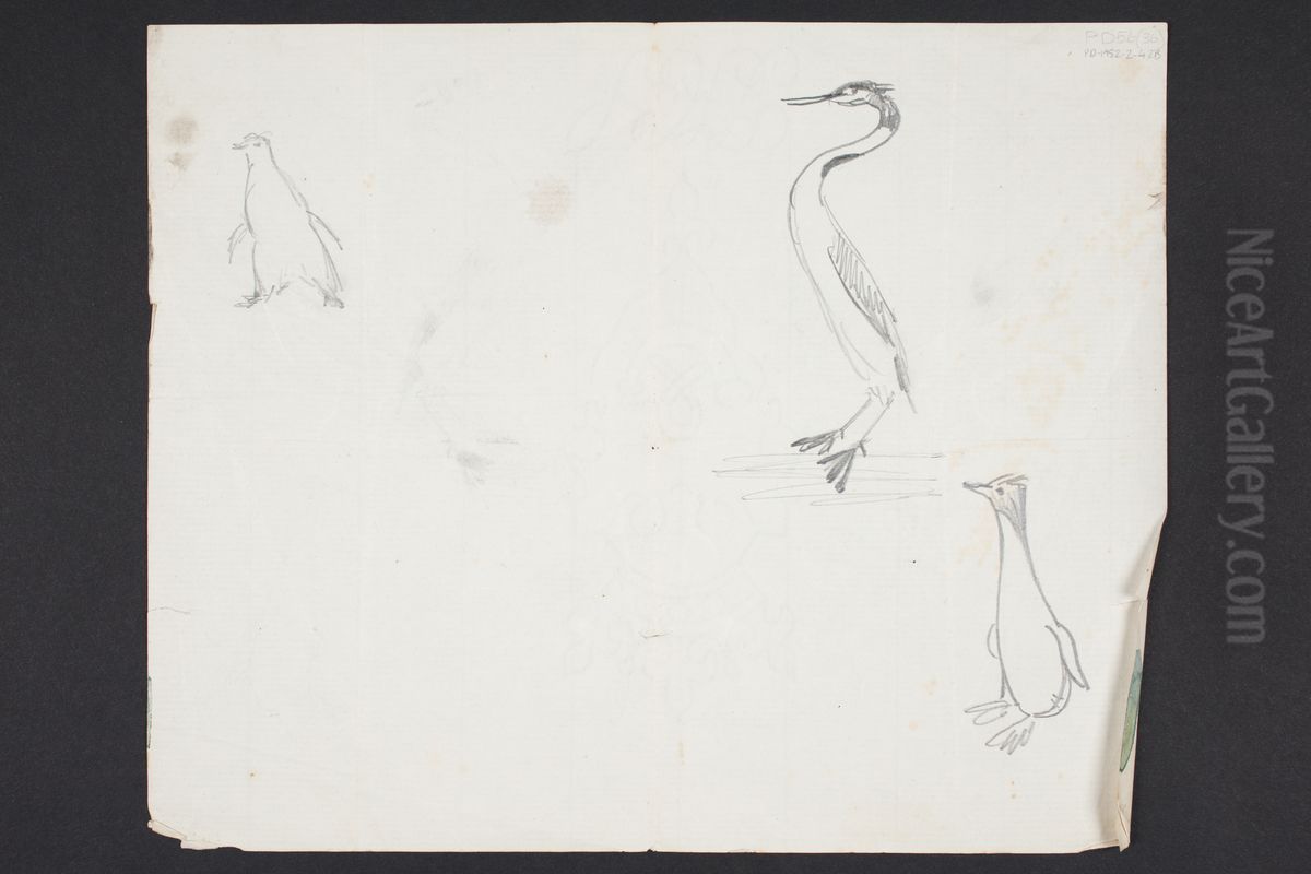 [Sketches of birds] PD-1952-2-42B Oil Painting by Charles Heaphy