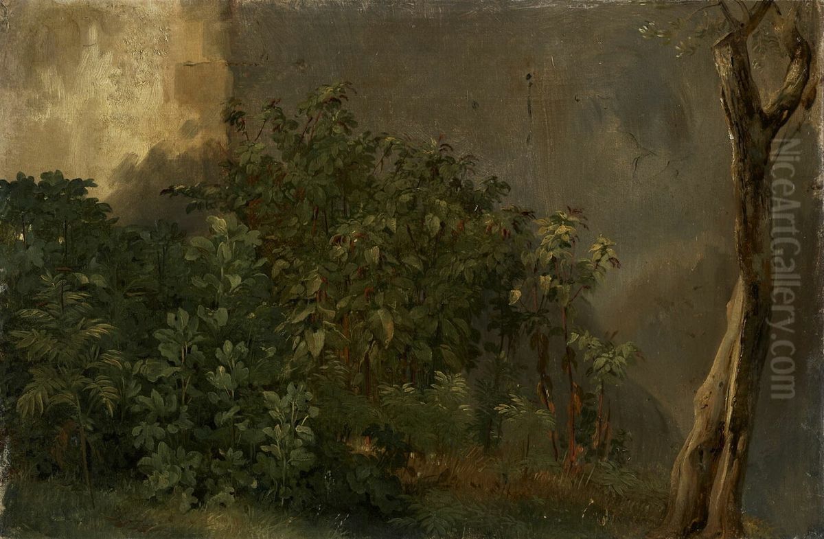 Etude de plantes Oil Painting by Achille Etna Michallon