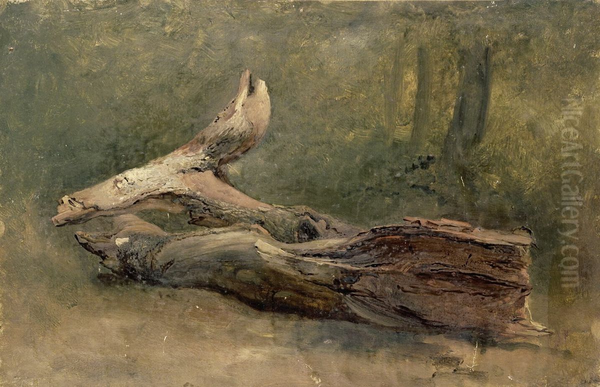 Etude d'arbre couche Oil Painting by Achille Etna Michallon