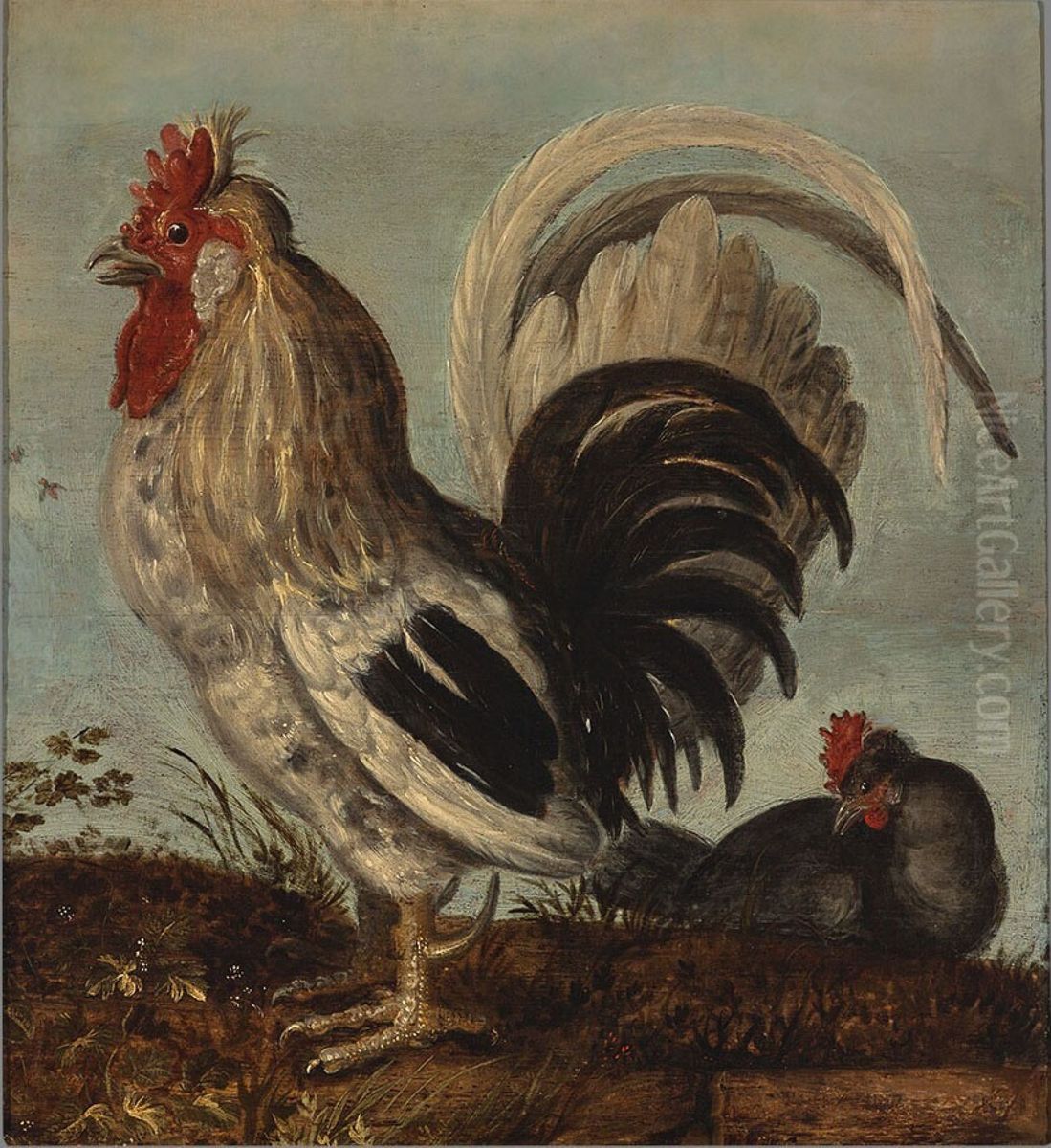 A Young Cock Oil Painting by Roelant Savery