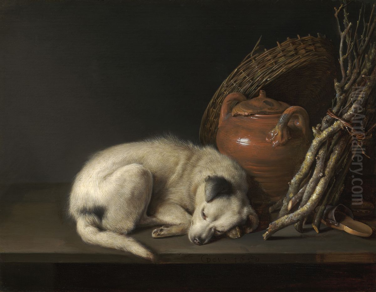 A sleeping dog Oil Painting by Gerrit Dou