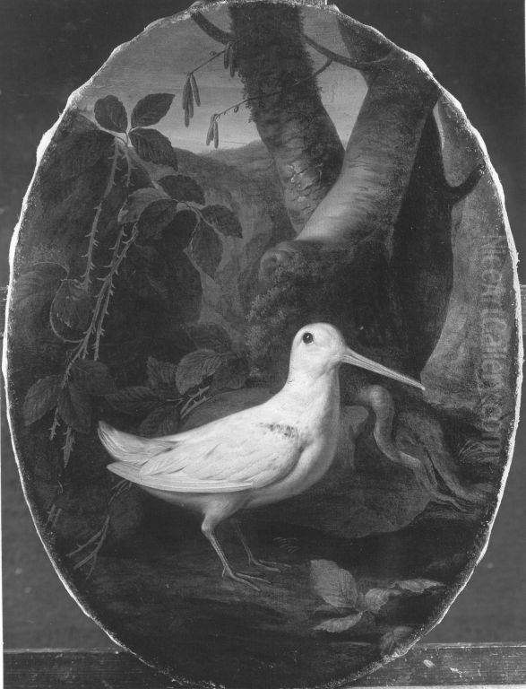 Weisse Schnepfe Oil Painting by Johann Christian von Mannlich