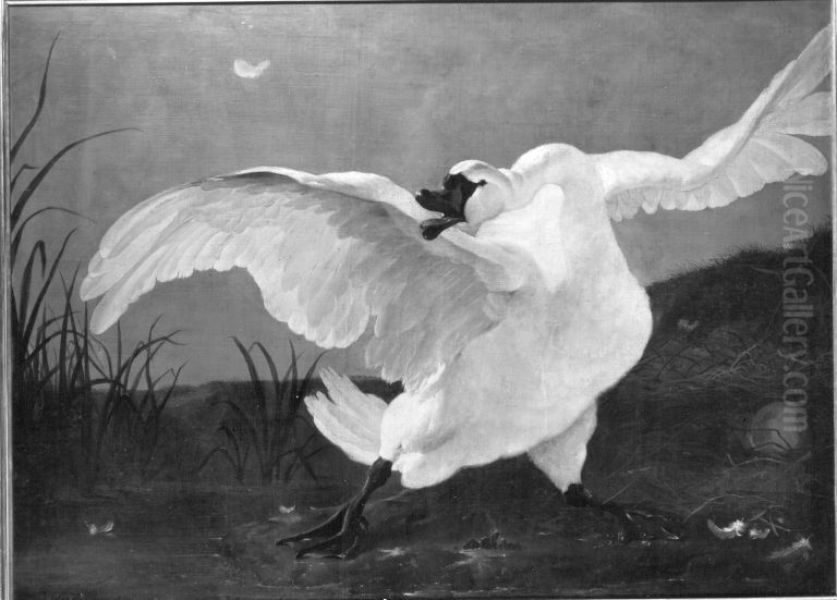 Fauchender Schwan Oil Painting by Jan Asselijn