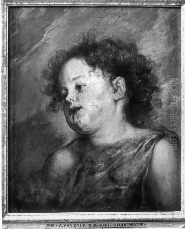 Studienkopf eines Kindes Oil Painting by Sir Anthony Van Dyck