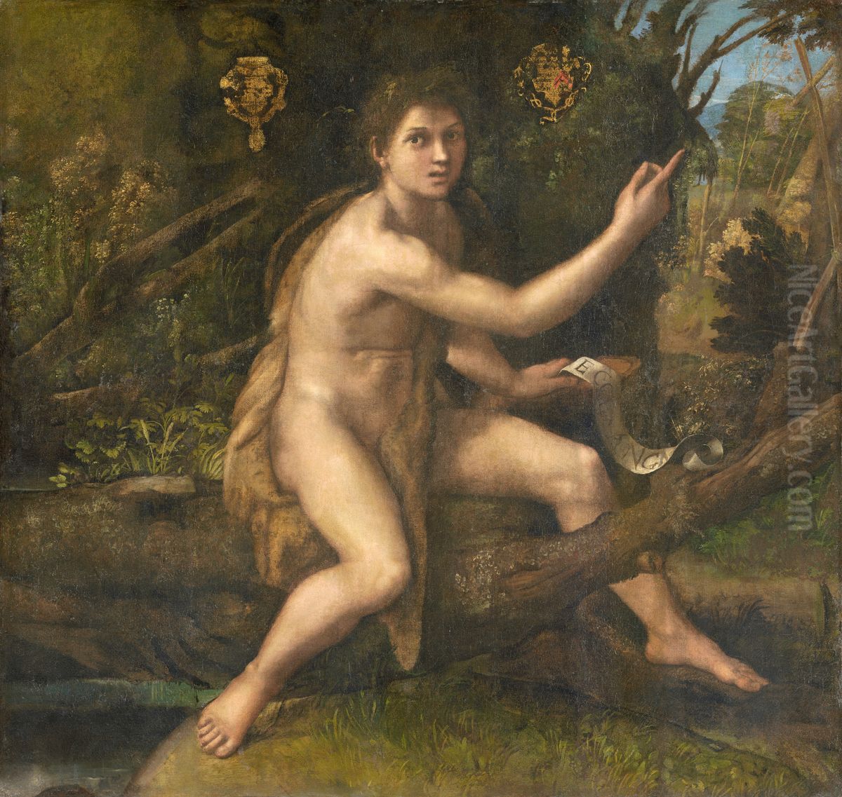 Saint John the Baptist in the Wilderness Oil Painting by Raphaeland workshop