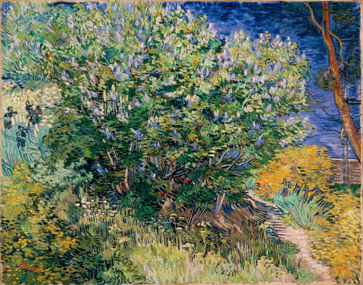 Lilac Bush (Lilacs) Oil Painting by Vincent Van Gogh