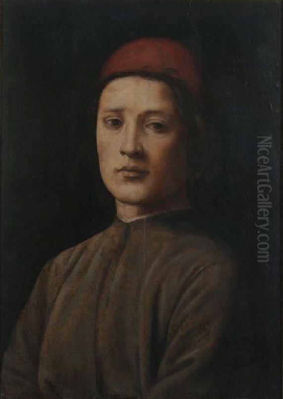 Portrait of a Young men with a red  beret Oil Painting by Filippino Lippi
