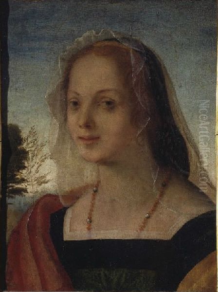 Portrait of a Young Woman (Rosso Fiorentino) Oil Painting by Rosso Fiorentino