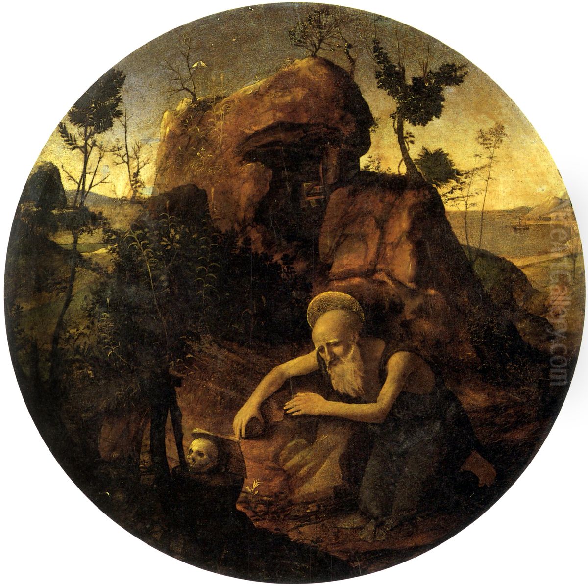 Saint Jerome in Meditation Oil Painting by Piero Di Cosimo