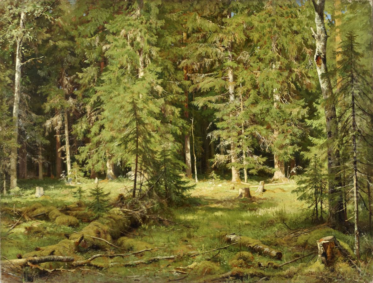 Forest Oil Painting by Ivan Shishkin
