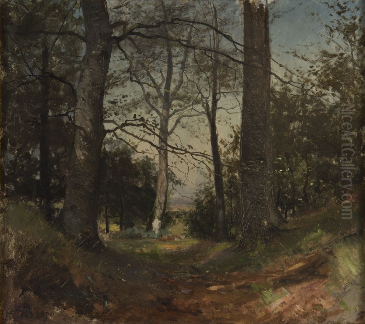 In the Forest. Motif from Stehag, Skane. Study Oil Painting by Gustaf Rydberg