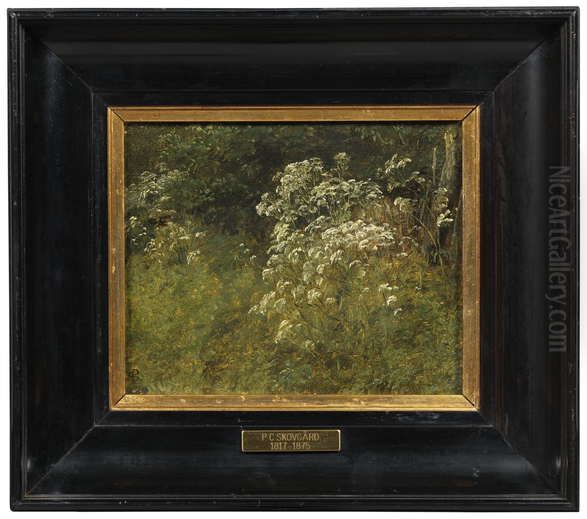 Cow Parsley. Study Oil Painting by P. C. Skovgaard