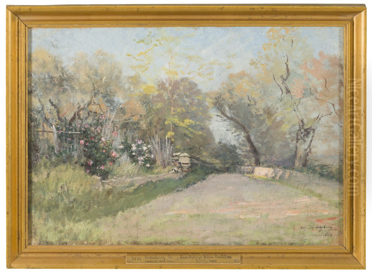Landscape near Antibes. Study Oil Painting by Alfred Wahlberg