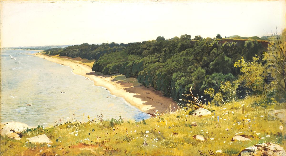 By the seashore Oil Painting by Ivan Shishkin