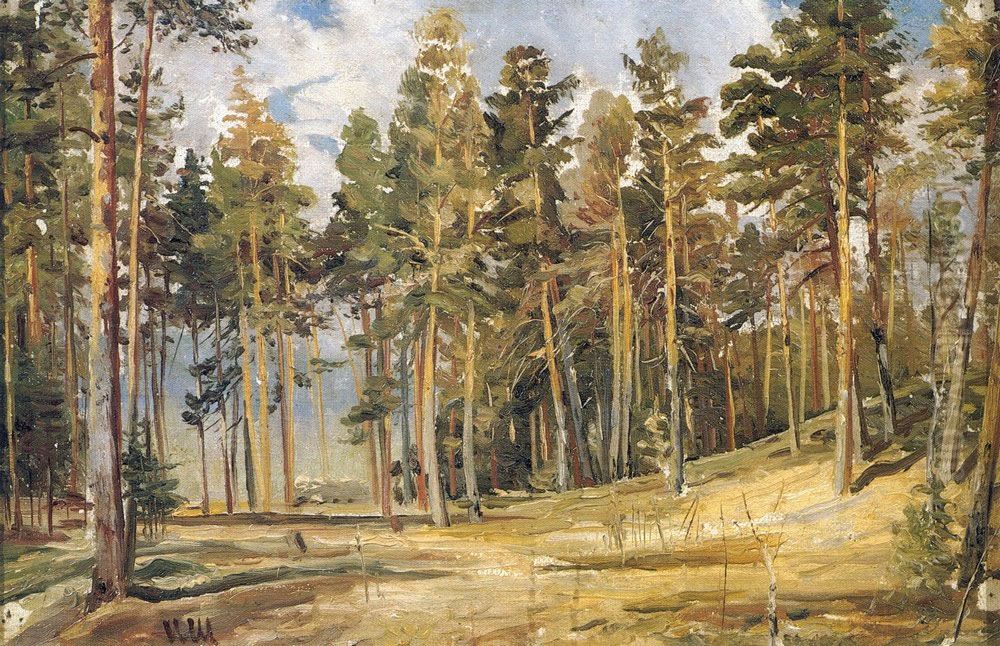 Pines. Sunny day Oil Painting by Ivan Shishkin