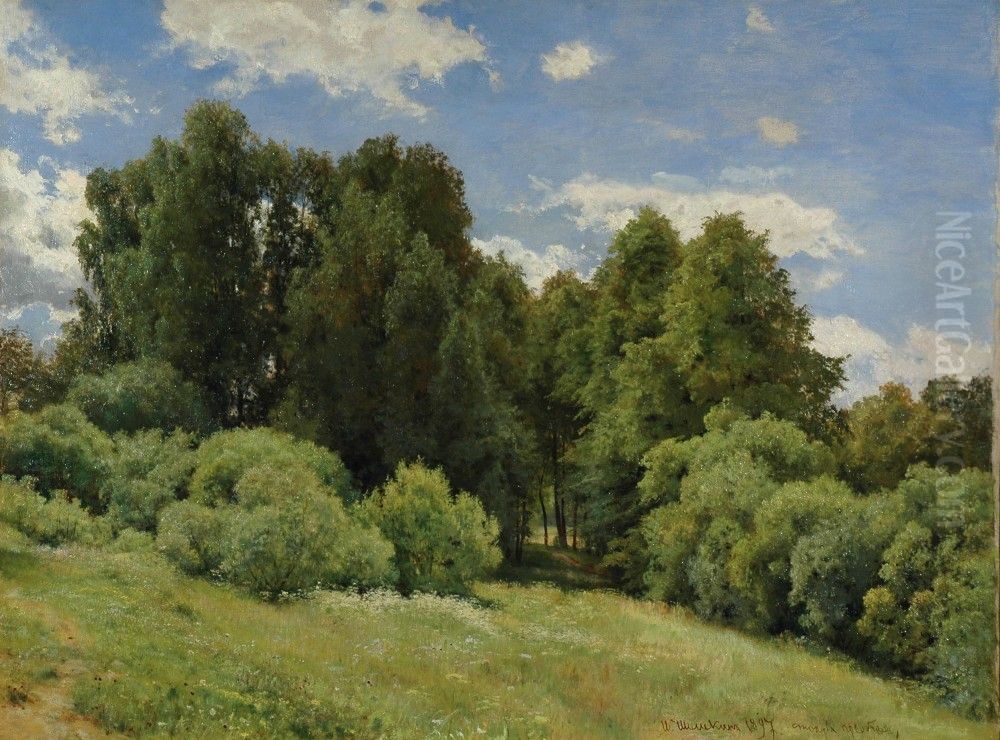 Glade (Forest Glade) Oil Painting by Ivan Shishkin