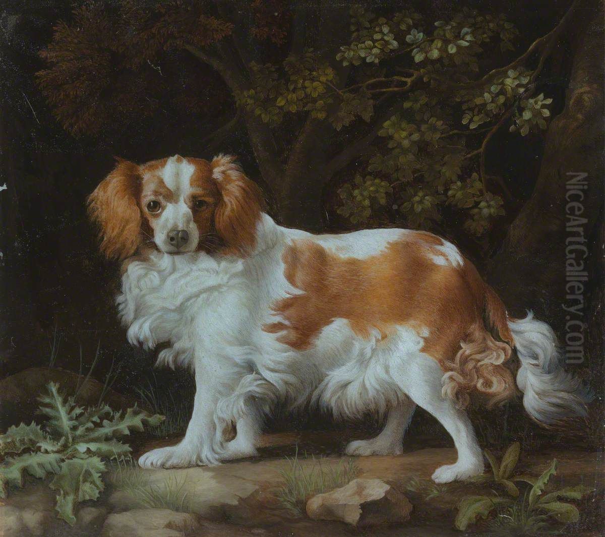 King Charles Spaniel Oil Painting by George Stubbs