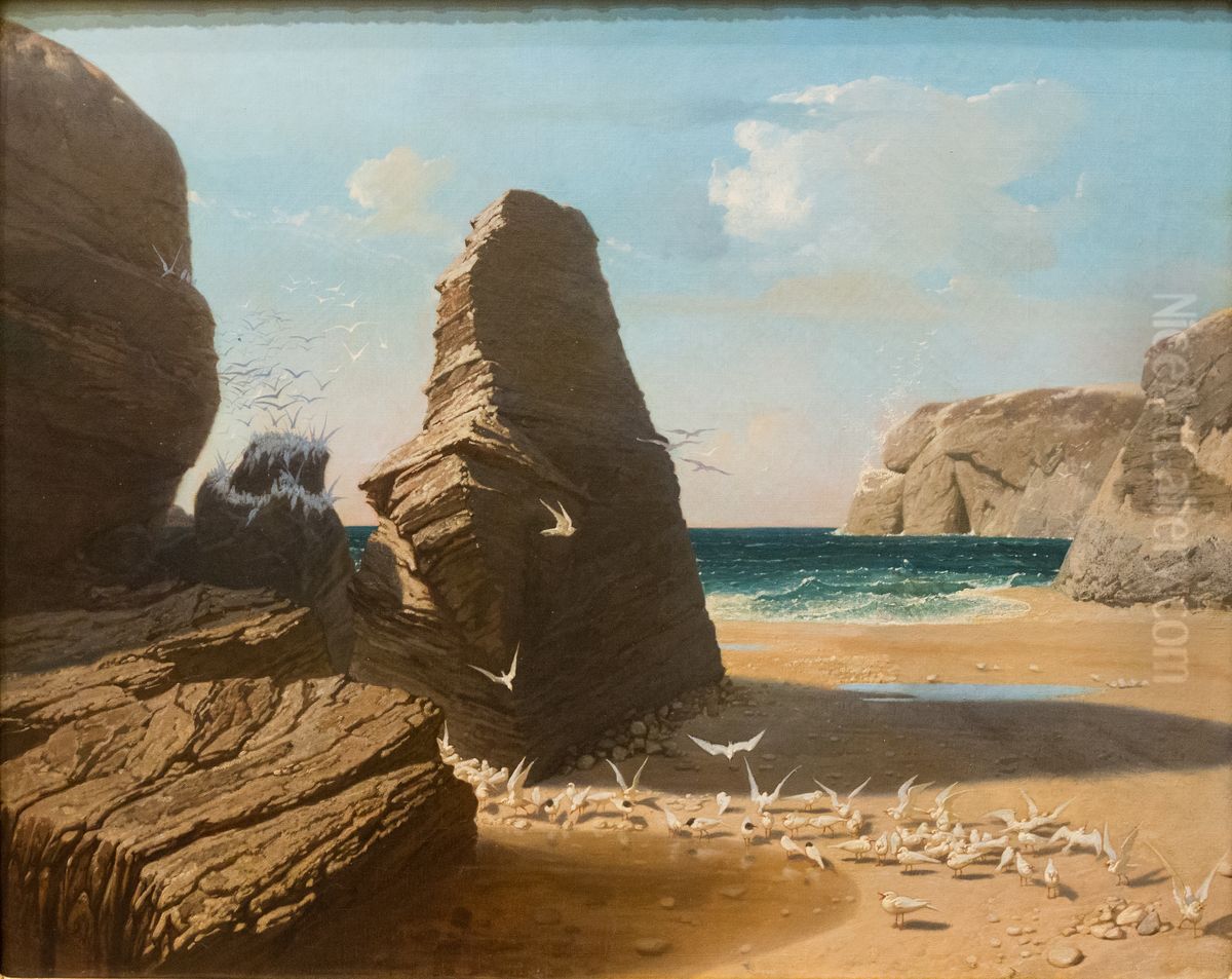Les petites mouettes, rivage de Belle-Isle en mer, Port-Donnant Oil Painting by Octave Penguilly l'Haridon