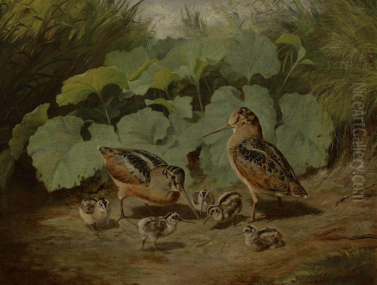 Woodcock and Young Oil Painting by Arthur Fitzwilliam Tait