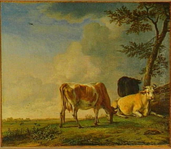 Three Cows in a Meadow Oil Painting by Paulus Potter
