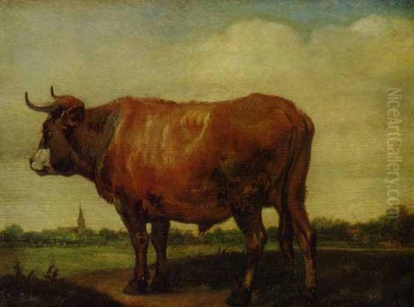 Red Ox Oil Painting by Paulus Potter